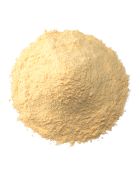 wholesale Garlic Powder Premium 1MM in bulk