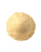 Garlic Powder Special 1MM in bulk