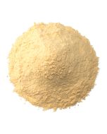 wholesale Garlic Powder Premium 1MM in bulk