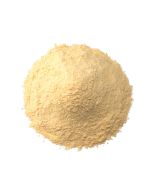 Garlic Powder Special 1MM in bulk